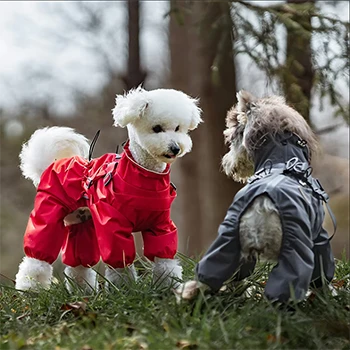 Manteau de pluie pour chien